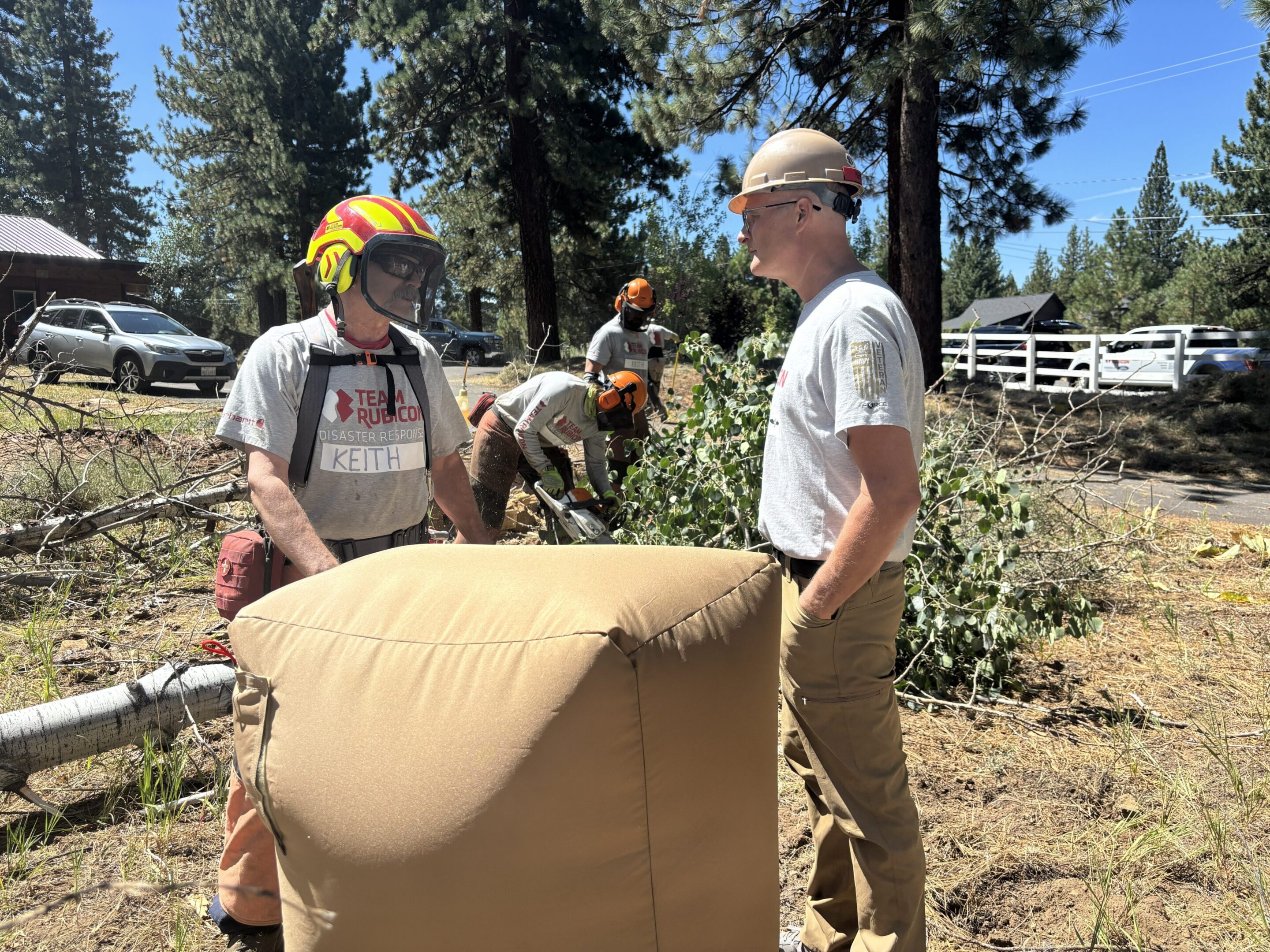 Tree removal crew with large protective cushion